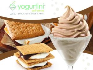 branded cup of yogurt with s'mores fixings 